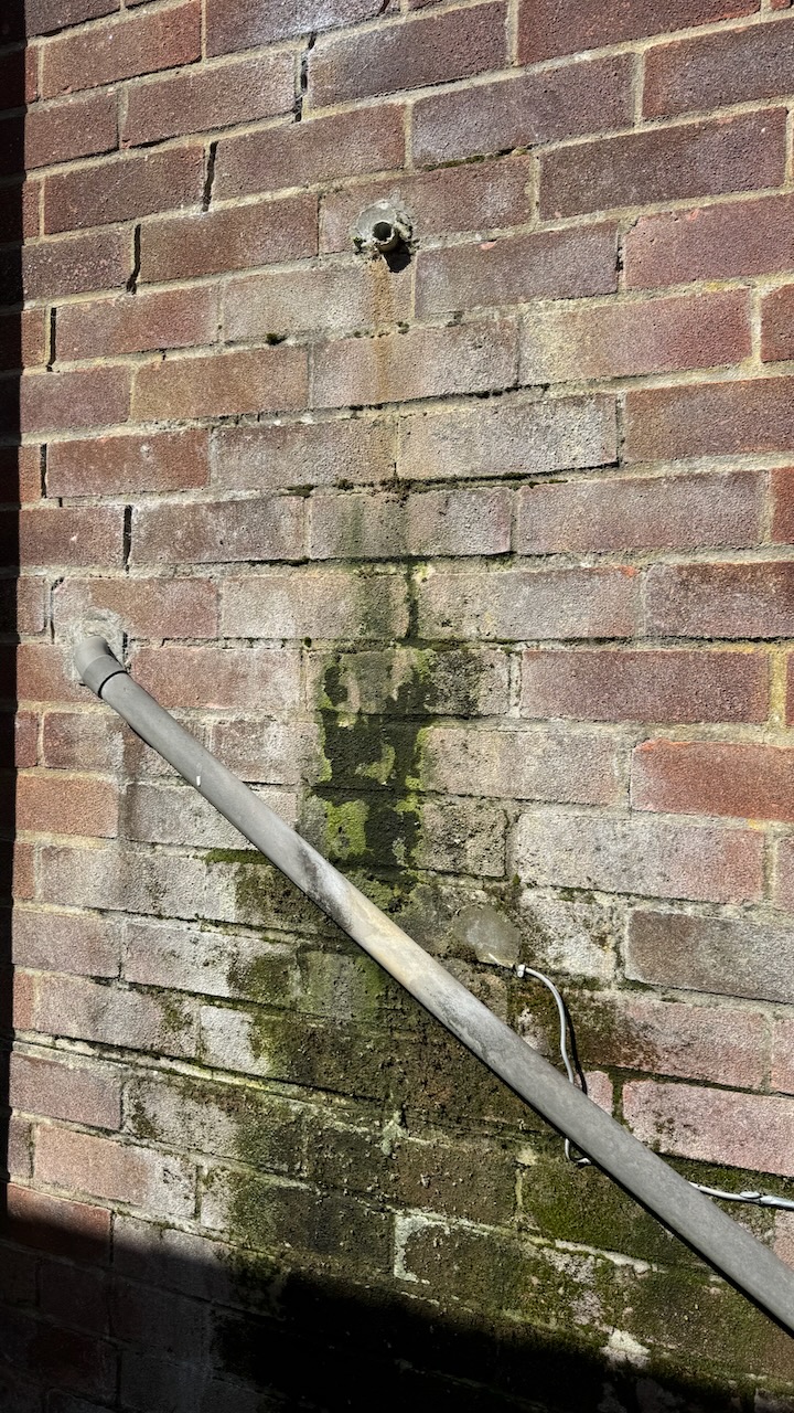 Damp wall